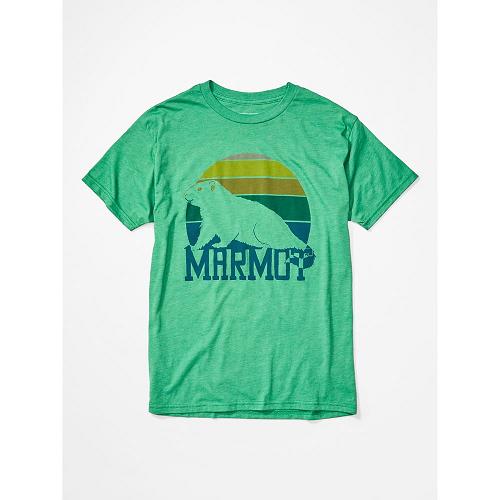 Marmot Dawning Clothes - Mens T-Shirts Green CA7016943 Canada